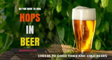 The Great Hops Debate: Boiling vs. Dry Hopping in Beer Brewing