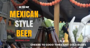 Exploring the Unique Flavors of Mexican-Style Beers: A Hoppy Journey