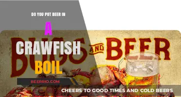 Savor the Flavor: Beer's Role in the Perfect Crawfish Boil