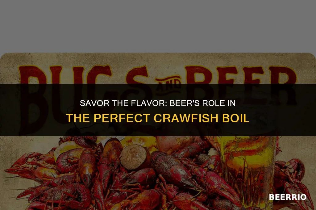 do you put beer in a crawfish boil