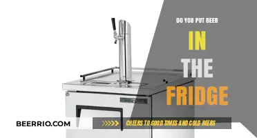 Chill or Not: The Great Beer Refrigeration Debate