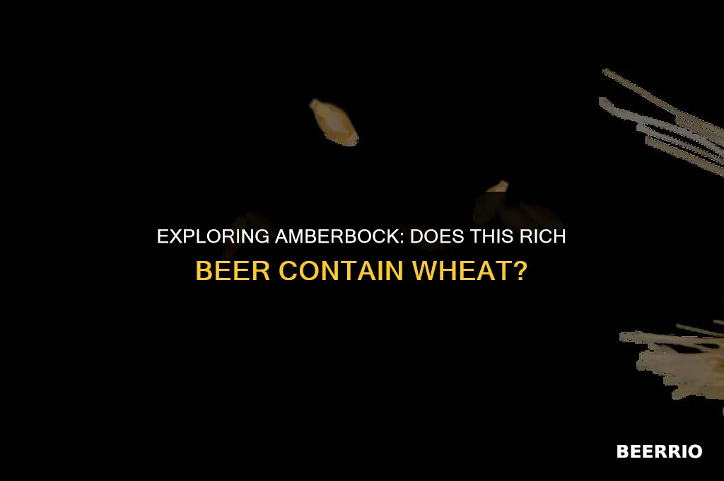 does amberbock beer have wheat