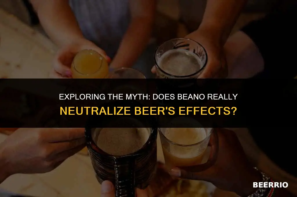 does beano work for beer