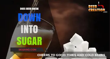 The Sweet Truth: How Beer Transforms into Sugar in Your Body