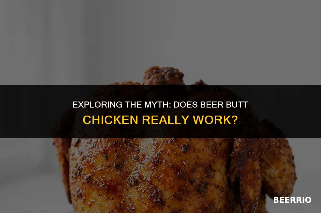 does beer butt chicken work
