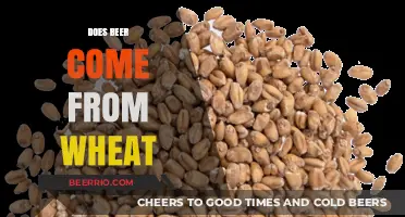 Exploring the Origins: Does Your Favorite Beer Come from Wheat?