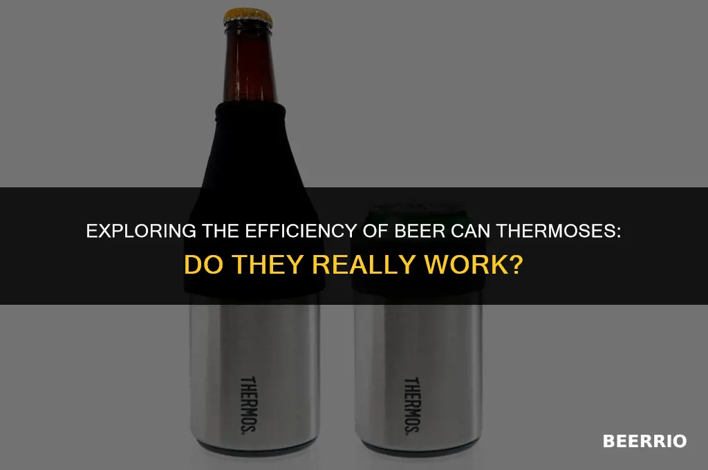 does beer csn thermos work