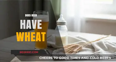 Exploring the Ingredients: Does Your Favorite Beer Contain Wheat?