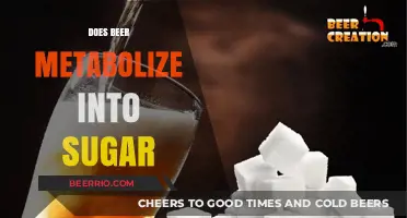 The Sweet Truth: How Beer Transforms into Sugar in Your Body