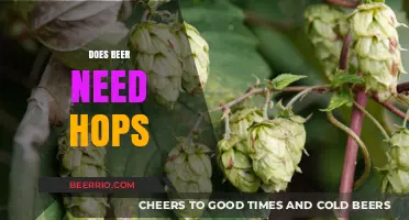 The Hop Debate: Is It Essential for Beer?