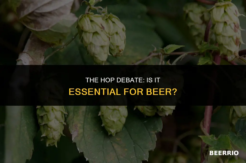 does beer need hops