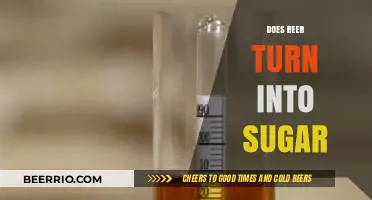 The Surprising Truth About Beer and Sugar Conversion