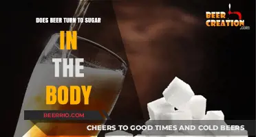 The Sweet Truth: How Beer Transforms into Sugar in Your Body
