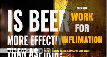 Exploring the Anti-Inflammatory Effects of Beer: Fact or Fiction?