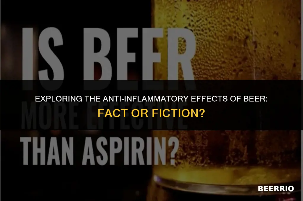 does beer work for inflimation