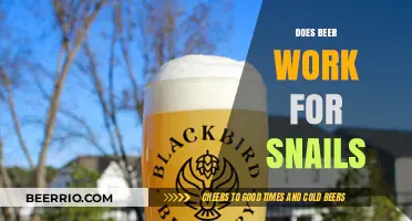Exploring the Effects of Beer on Snails: A Scientific Inquiry