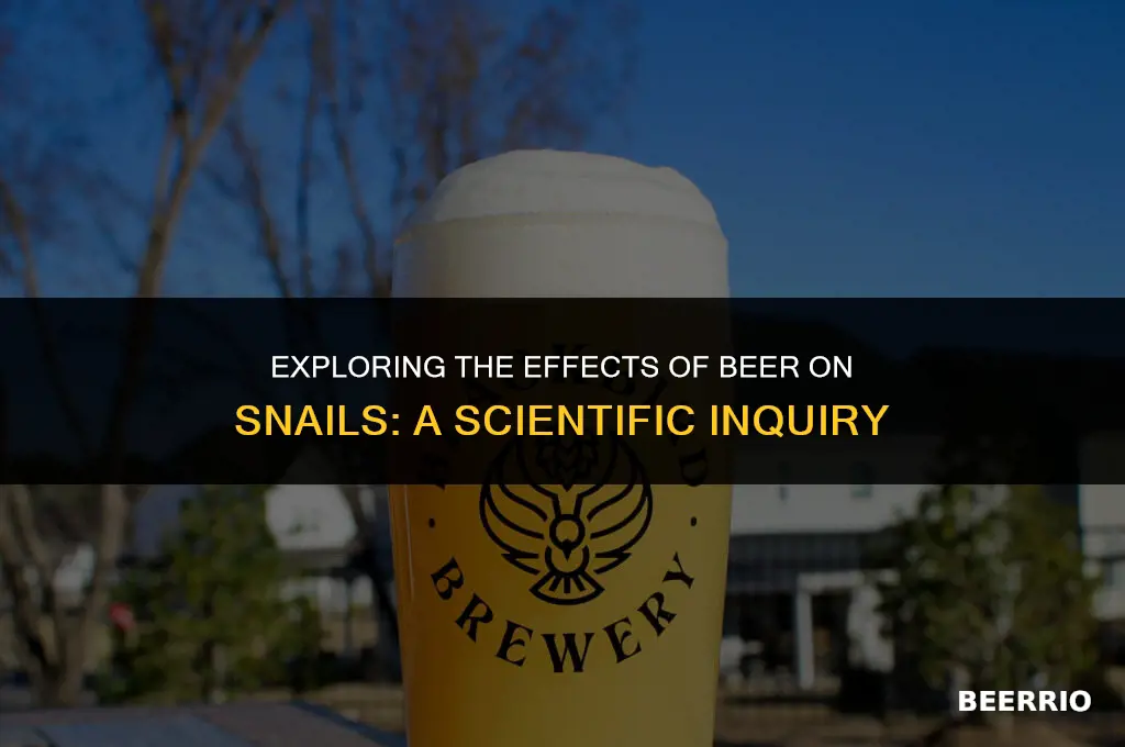 does beer work for snails