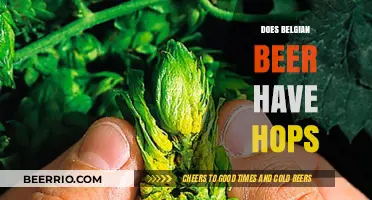 Exploring the Hoppy Depths of Belgian Beer: A Flavorful Journey