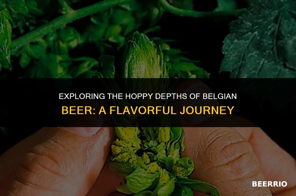 does belgian beer have hops