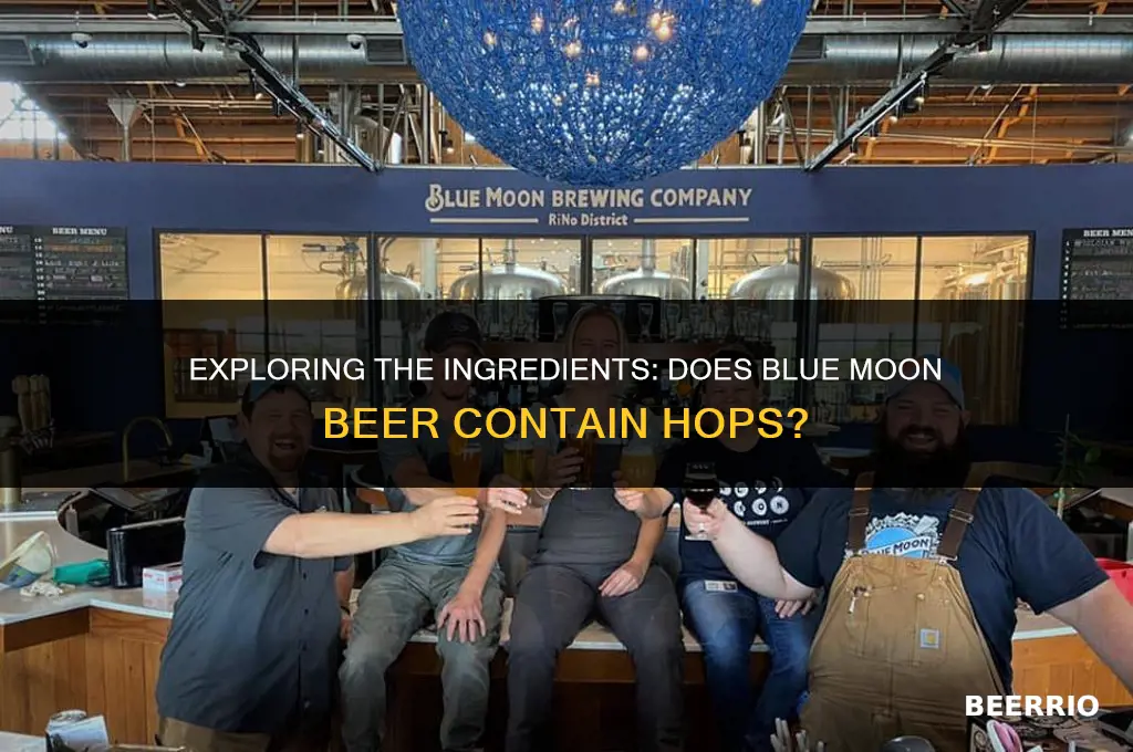 does blue moon beer contain hops
