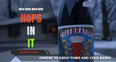Exploring the Flavor Profile: Does Bock Beer Contain Hops?