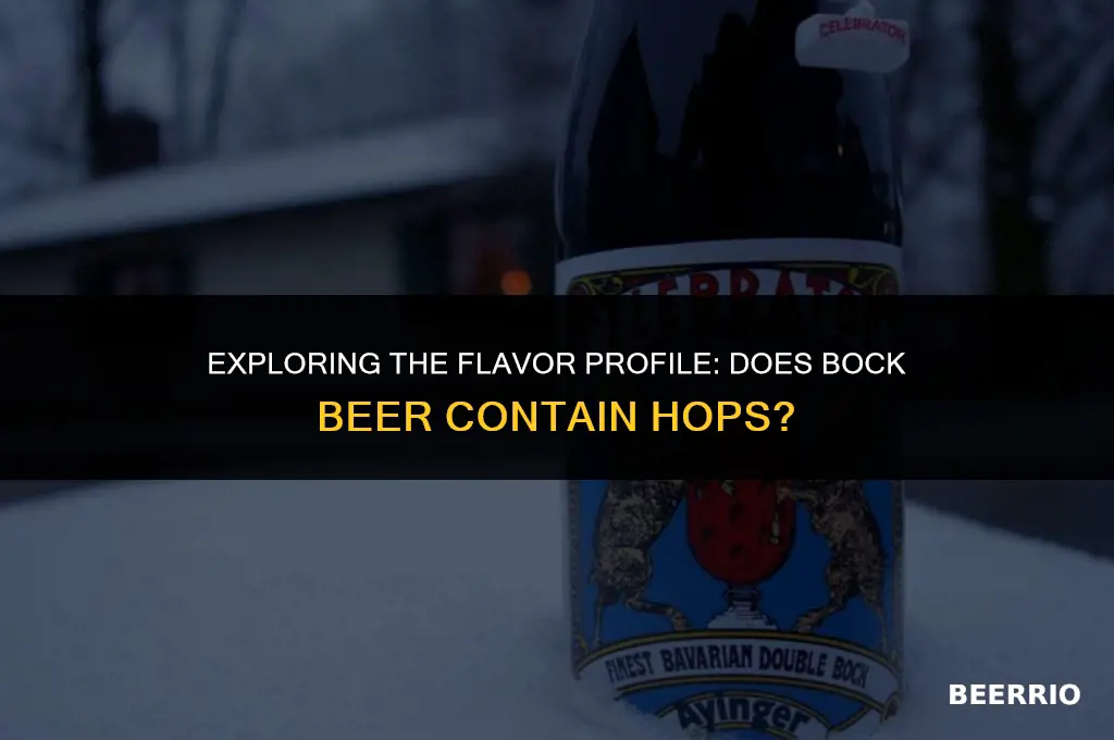 does bock beer have hops in it