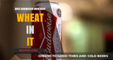 Exploring Budweiser's Ingredients: Does This Iconic Beer Contain Wheat?