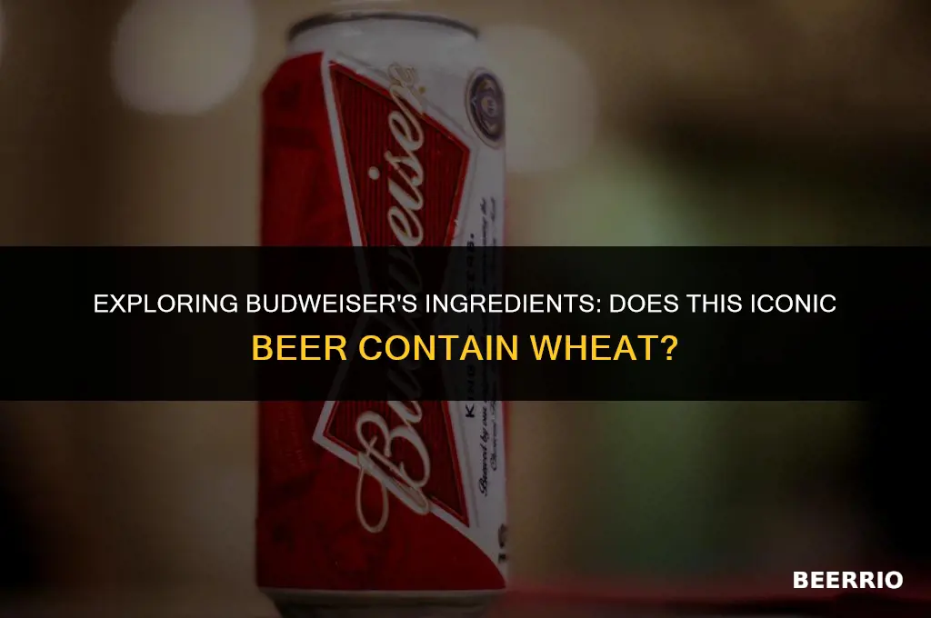 does budweiser beer have wheat in it