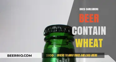 Exploring the Ingredients: Does Carlsberg Beer Contain Wheat?