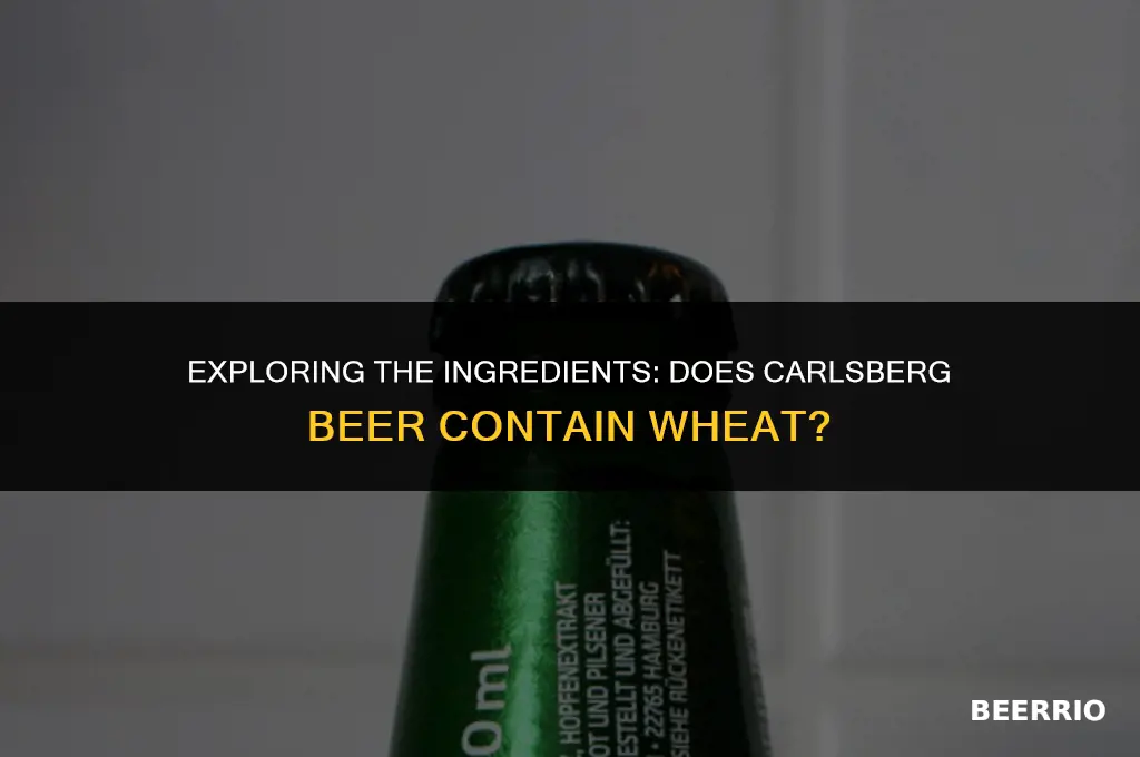 does carlsberg beer contain wheat