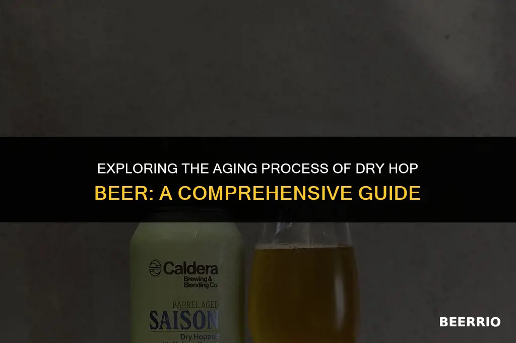 does dry hop beer age