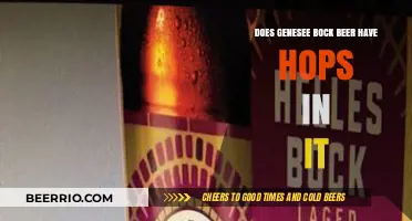 Exploring Genesee Bock: A Hoppy Adventure or Malt-Forward Delight?