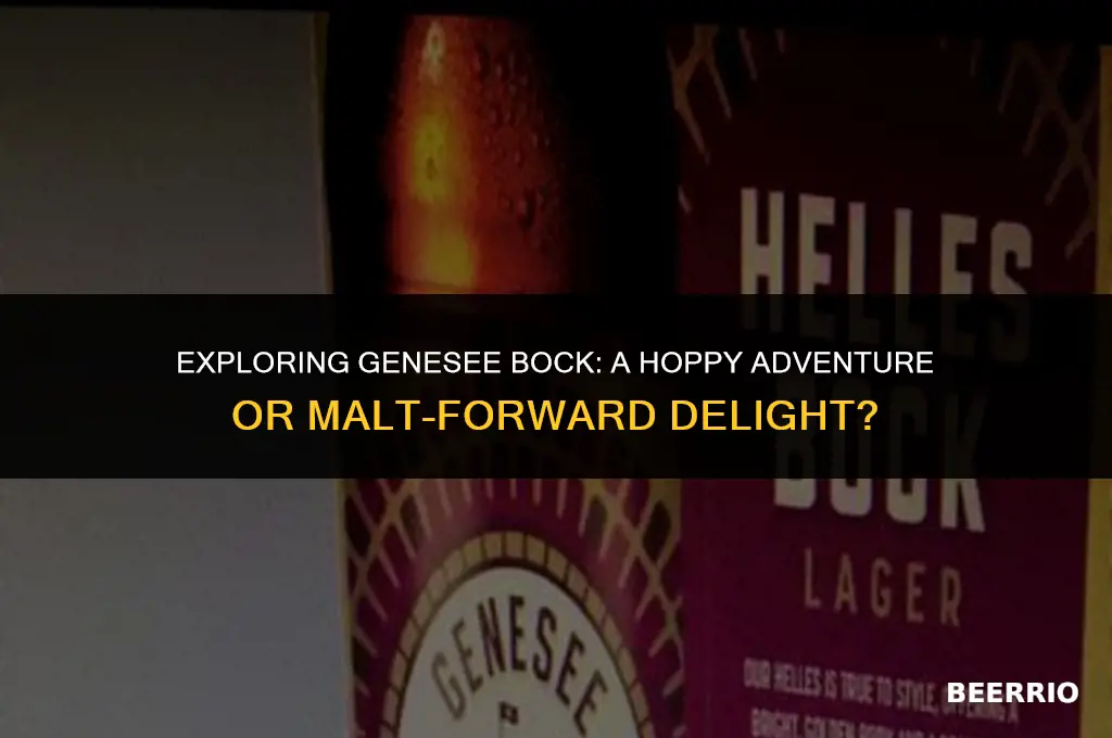 does genesee bock beer have hops in it