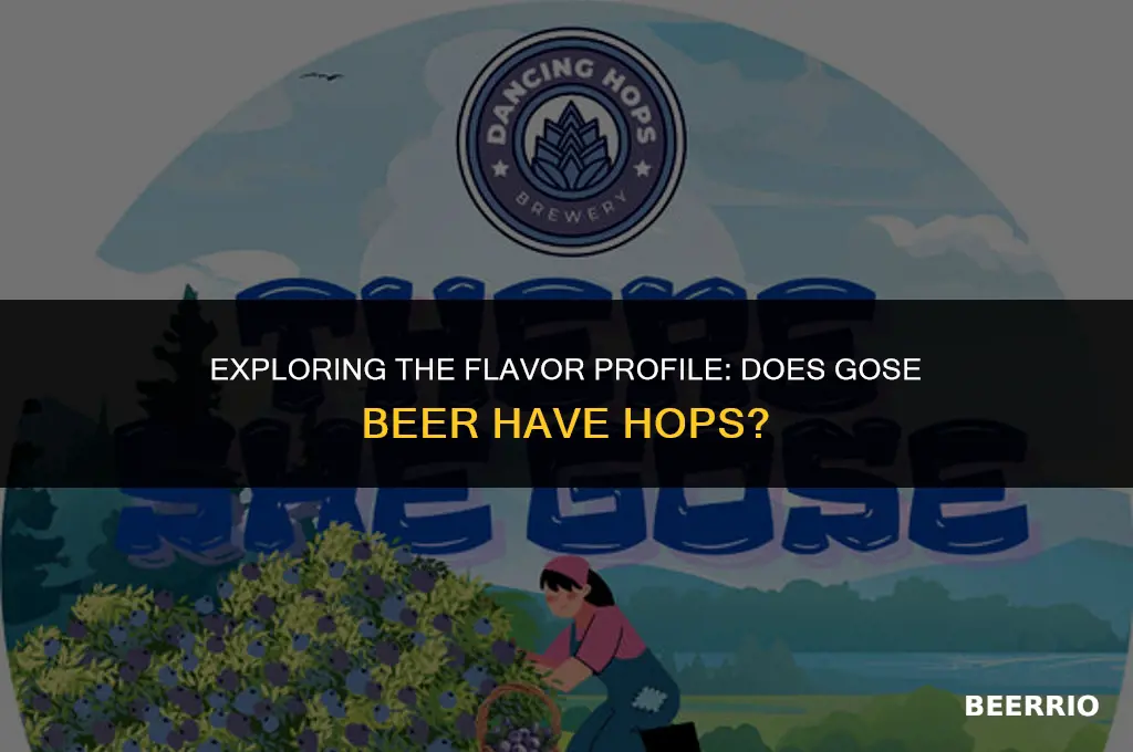 does gose beer have hops