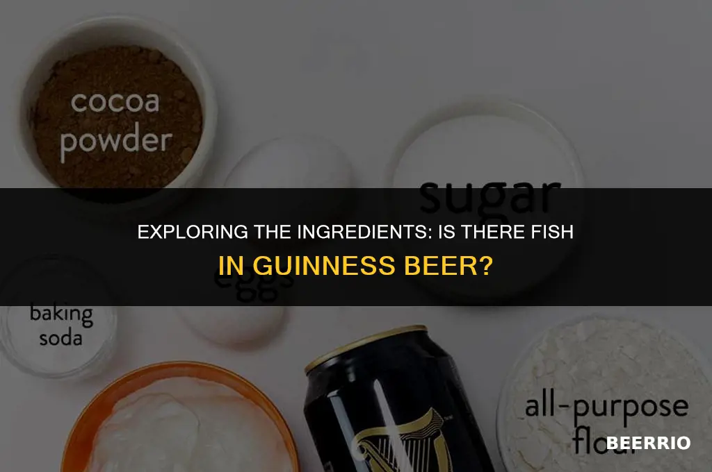 does guinness beer contain fish