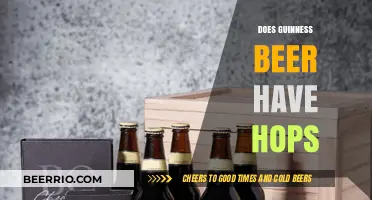 Exploring the Ingredients: Does Guinness Beer Contain Hops?