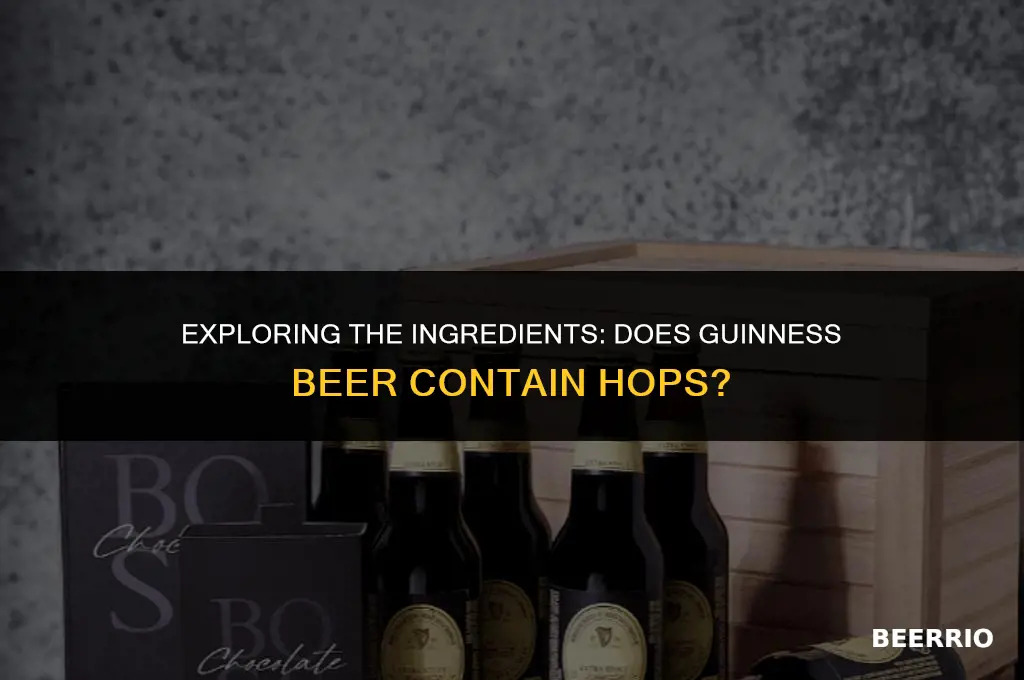 does guinness beer have hops