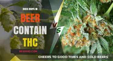 Exploring the Myth: Does Beer's Hops Really Contain THC?