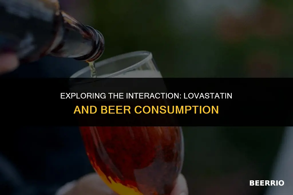 does lovastatin work with beer