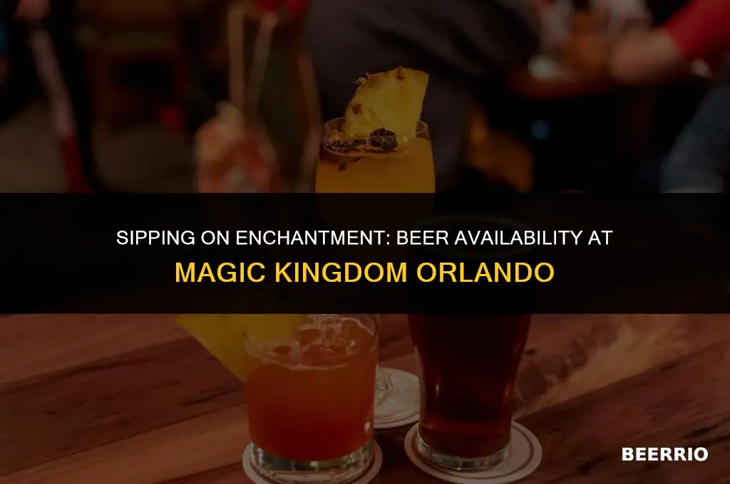 does magic kingdom orlando sell beer