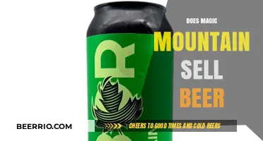 Sipping Brews at Magic Mountain: A Guide to Beer Availability