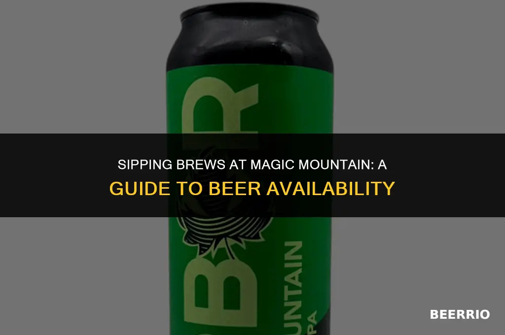 does magic mountain sell beer