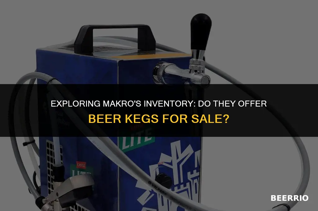 does makro sell beer kegs