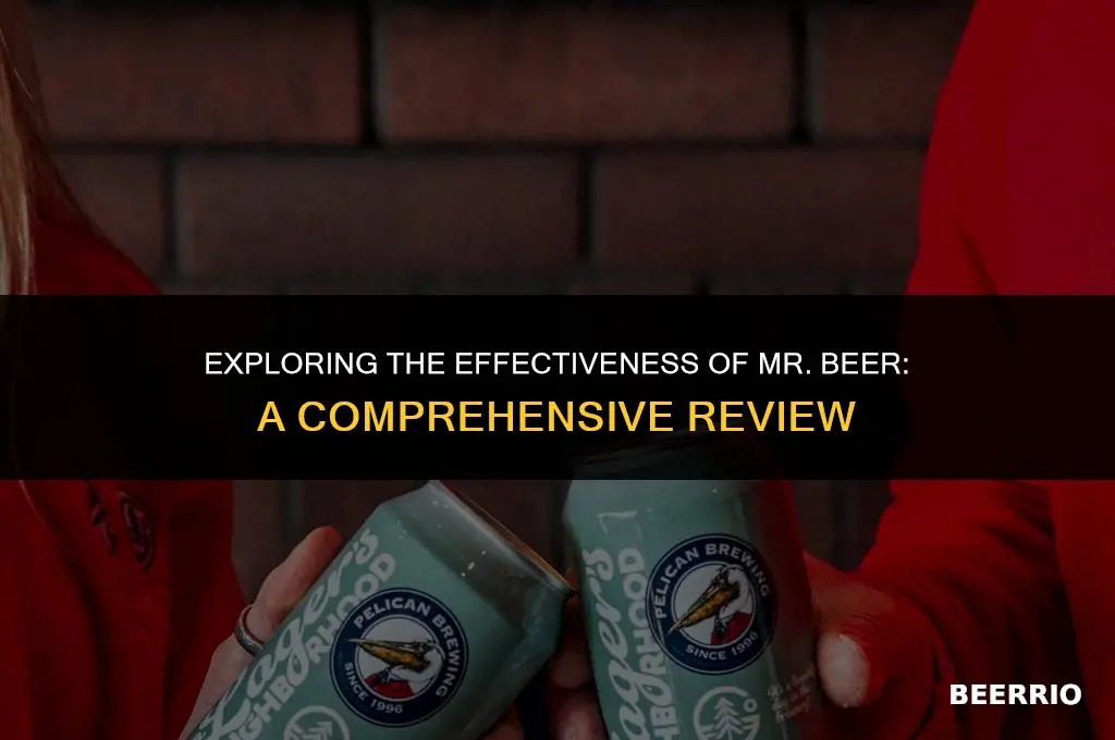 does mr beer work