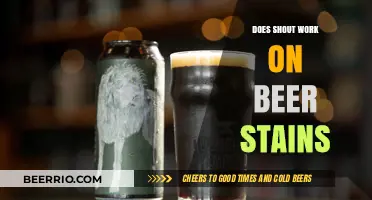 The Ultimate Guide to Removing Beer Stains: Does Shout Really Work?