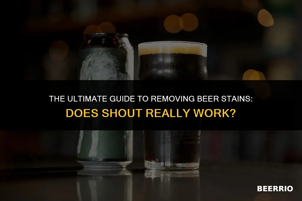 does shout work on beer stains