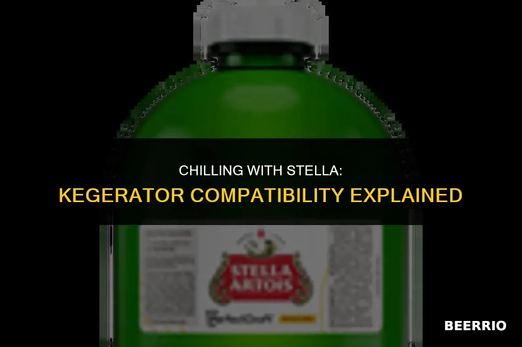 does stella beer work with a kegerator