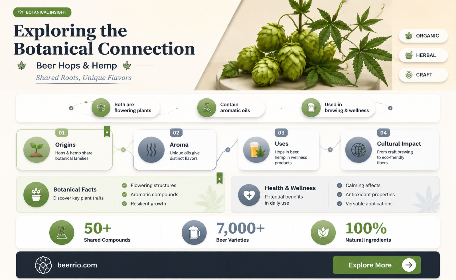 are beer hops related to hemp