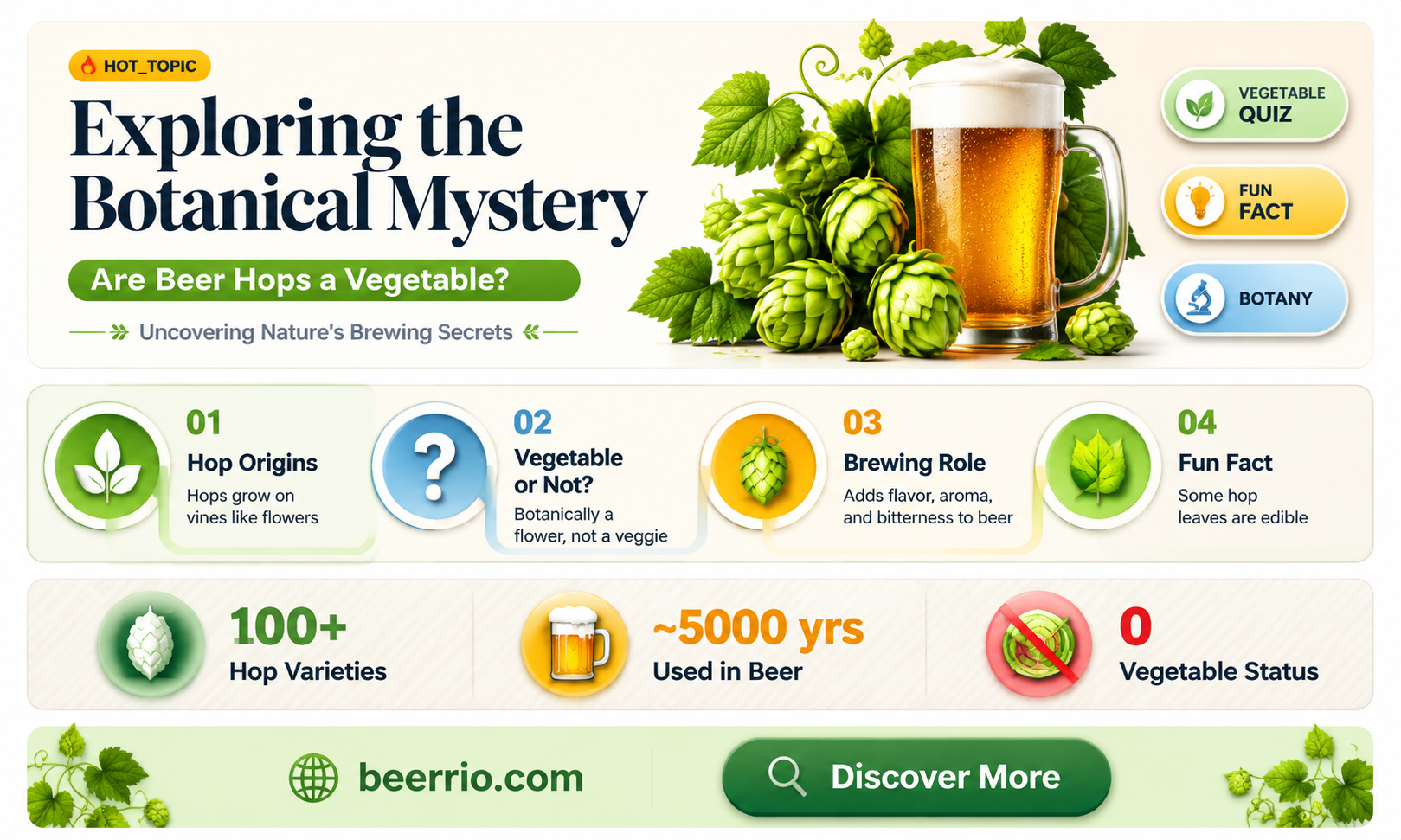 are beer hops a vegetable
