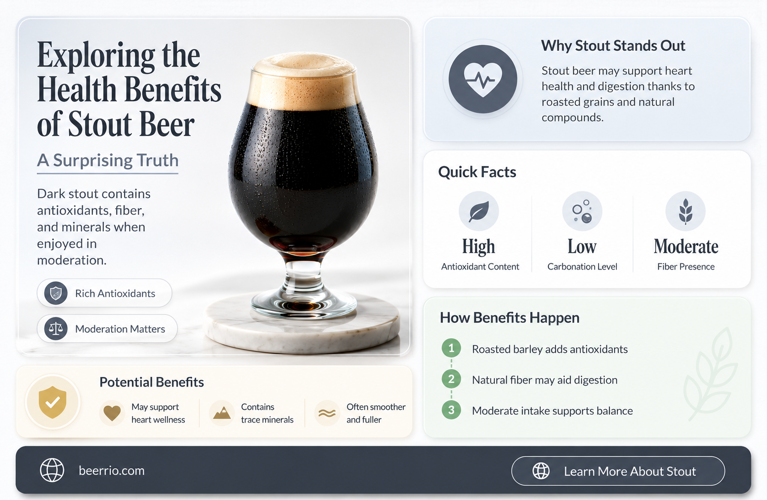 is stout beer good for you